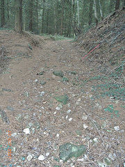 
Waun-fawr Tramroad from previous point, Risca Blackvein, October 2007