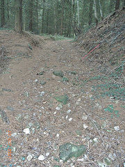 
Waun-fawr Tramroad from previous point, Risca Blackvein, October 2007