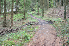 
Waun-fawr Tramroad from previous point, Risca Blackvein, May 2010