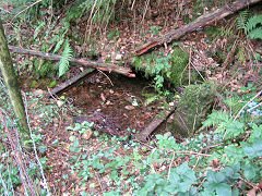 
Well or drainage level, Risca Blackvein, August 2008