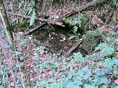 
Well or drainage level, Risca Blackvein, August 2008
