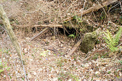 
Well or drainage level, Risca Blackvein, May 2010