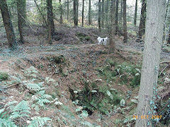 
Waun-fawr Level, Risca Blackvein, October 2007