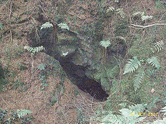 
Waun-fawr Level, Risca Blackvein, October 2007