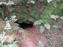 
Waun-fawr Level, Risca Blackvein, August 2008