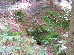 
Waun-fawr Level, Risca Blackvein, August 2008