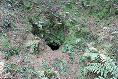 
Waun-fawr Level, Risca Blackvein, October 2009