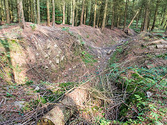 
Waun-fawr Level, Risca Blackvein, September 2014