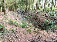 
Waun-fawr Level, Risca Blackvein, September 2014