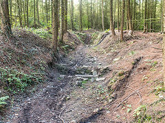 
Waun-fawr Level, Risca Blackvein, September 2014