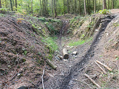 
Waun-fawr Level, Risca Blackvein, September 2014