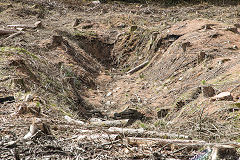 
Waun-fawr level after de-forestation, Risca Blackvein, April 2016