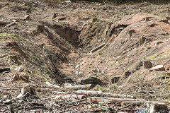 
Waun-fawr level after de-forestation, Risca Blackvein, April 2016