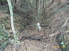 
Waun-fawr Level entrance, Risca Blackvein, October 2007