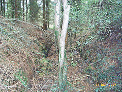 
Waun-fawr Level entrance, Risca Blackvein, October 2007