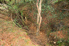 
Waun-fawr Level, Risca Blackvein, May 2010