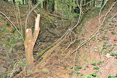 
Waun-fawr Level entrance, Risca Blackvein, May 2010