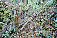 
Waun-fawr Level entrance, Risca Blackvein, May 2010