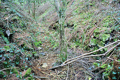 
Waun-fawr Level entrance, Risca Blackvein, May 2010