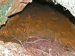 
Interior of Waun-fawr Level, Risca Blackvein, August 2008