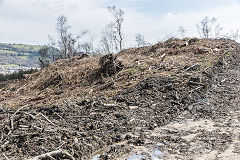 
Waun-fawr level tips after de-forestation, Risca Blackvein, April 2016
