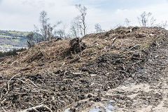 
Waun-fawr level tips after de-forestation, Risca Blackvein, April 2016