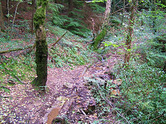 
Pipework running from well, Risca Blackvein, August 2008