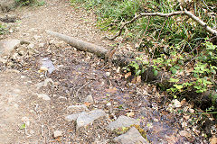 
Pipework running from well, Risca Blackvein, May 2010