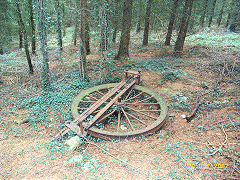 
The winding wheel, Risca Blackvein, October 2007