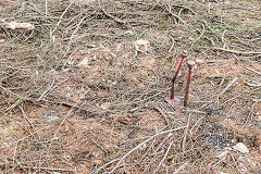 
Site of the winding wheel after de-forestation, Risca Blackvein, April 2016