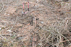 
Site of the winding wheel after de-forestation, Risca Blackvein, April 2016