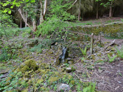 Cwm-byr-isaf farm, Crosskeys, May 2013