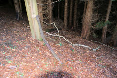 North Risca Colliery,aerial ropeway bucket release, December 2009