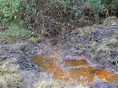 Bush Colliery, Newbridge, November 2020