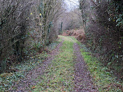 Bush Colliery tramway, Newbridge, November 2020