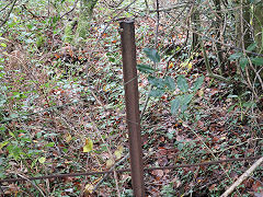 Bush Colliery rail, Newbridge, November 2020