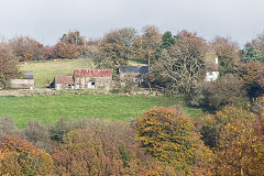 Cefn-Rhos-y-Bedd Uchaf, Pantside, Newbridge, October 2015