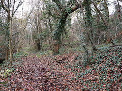 
Cwm Dows Colliery tramroad, the site of the coke ovens, Newbridge, November 2020