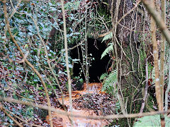 Culvert and airway under the TVER at Cwm Dows Colliery, Newbridge, November 2020