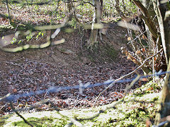 Ton-y-moch Colliery tramway, Mynyddislwyn, January 2021