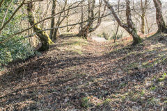 Old Kendon Colliery tips, February 2015