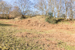 Old Kendon Colliery tips, February 2015
