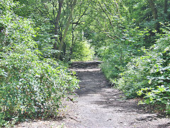
The later Kendon Tramroad towards Kendon Road, July 2021