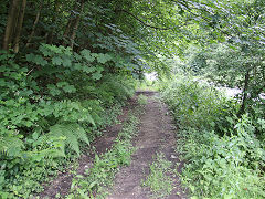 
The later Kendon Tramroad towards Kendon Road, July 2021