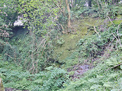
Quarry building beside the later Kendon Tramroad towards Kendon Road, July 2021