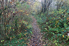 Halls Road trackbed, Newbridge, November 2020