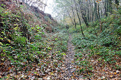 Halls Road trackbed, Newbridge, November 2020