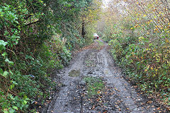 Halls Road trackbed, Newbridge, November 2020