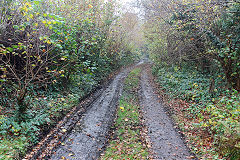 Halls Road trackbed, Newbridge, November 2020