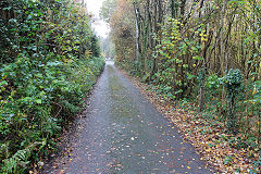 Halls Road, Tunnel Terrace, trackbed on the right, Newbridge, November 2020